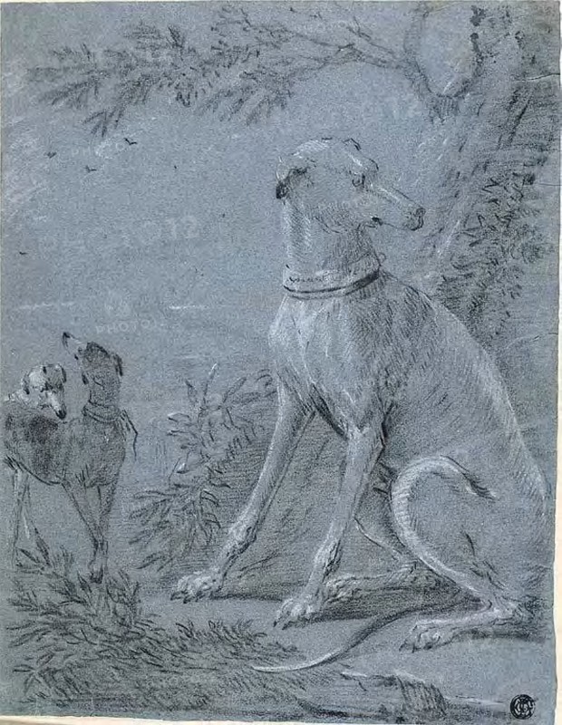 Seated Hound Beside Trees, n.d., Style of Jean-Baptiste Oudry, French, 1686-1755, France, Black chalk, heightened with white chalk, on blue laid paper, tipped on cream wove paper, 304 × 235 mm