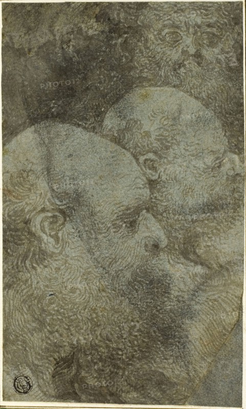 Three Bearded Male Heads, Two in Profile to the Right, n.d., Circle of Bernardino Lanino, Italian, c. 1509- after 1581, Italy, Brush and gray-brown ink and wash, on blue laid paper, laid down on ivory laid paper, 202 x 120 mm