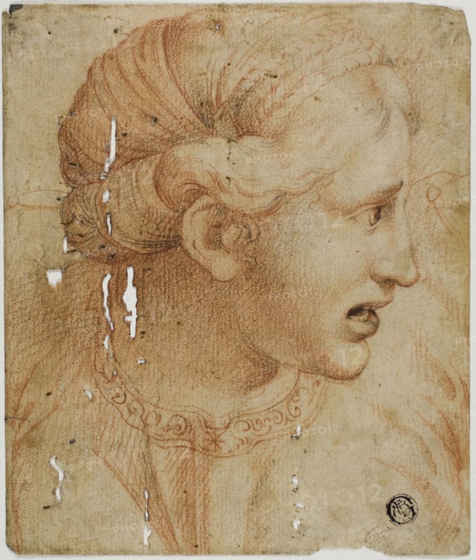 Female Head in Profile, Facing Right, early 18th century, After Workshop of Raffaello Sanzio, called Raphael, Italian, 1483-1520, Italy, Black and red chalk on ivory laid paper, 175 x 148 mm