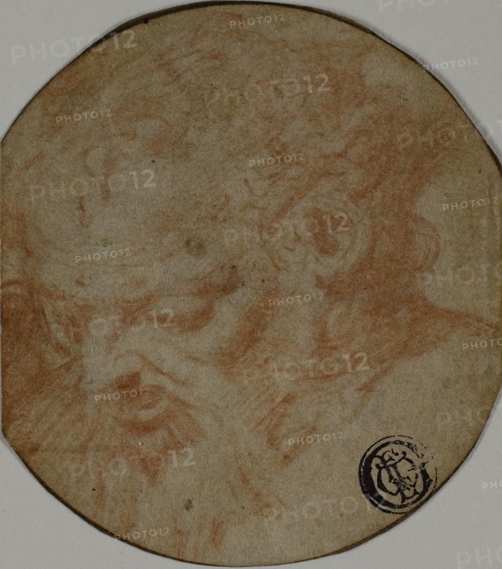 After the Antique (?): Head of a Satyr, n.d., Unknown Artist, Italian, 1500-1599, Italy, Red chalk, on ivory laid paper, 75 x 66 mm (max.)