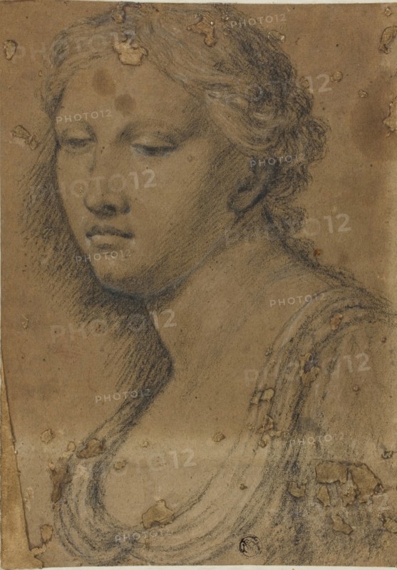 Bust of Woman, n.d., Attributed to Girolamo Sellari, called Girolamo da Carpi, Italian, 1501-1556, Italy, Black chalk, heightened with white chalk, on brown laid paper, laid down on ivory laid paper, 237 x 167 mm
