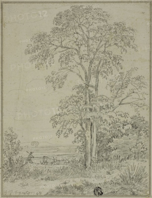 Landscape with Tree, Man, and Cows, August 7, 1765, Attributed to Sir George Howland Beaumont, English, 1753-1827, England, Graphite on ivory laid paper, laid down on ivory laid card, 200 × 153 mm