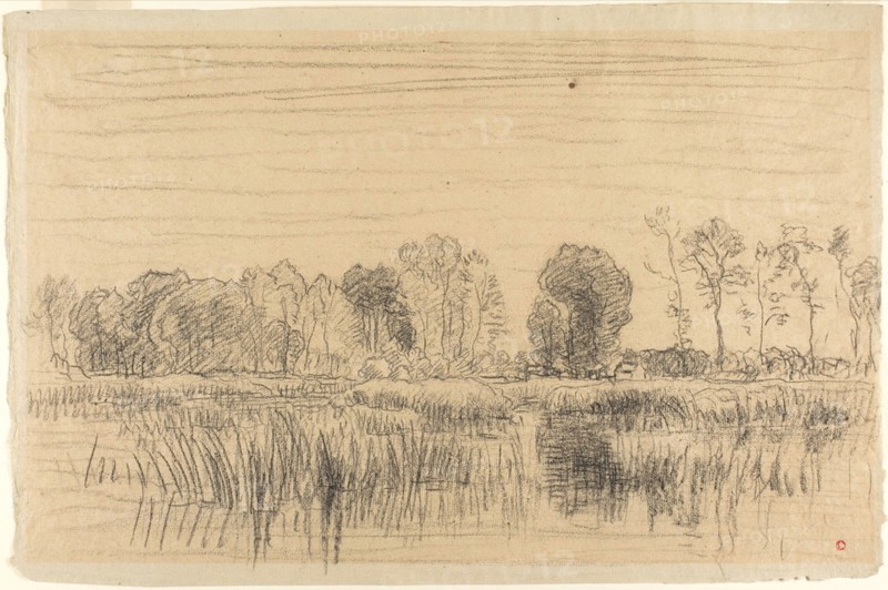 Marsh and Screen of Trees, n.d., Charles François Daubigny, French, 1817-1878, France, Black chalk on tan laid paper discolored to dark tan, 313 × 478 mm