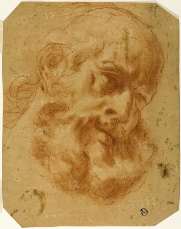 Bearded Head, n.d., Unknown Artist, Italian, 17th century, Italy, Red chalk, with stumping, heightened with touches of white chalk, with traces of black chalk, on tan laid paper, 293 × 230 mm