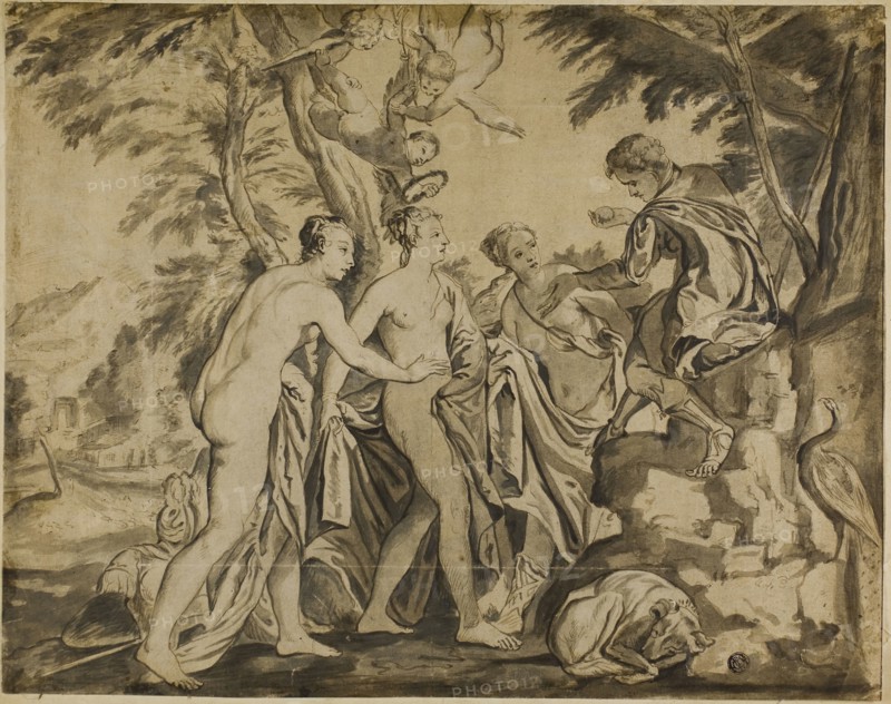 Judgement of Paris, 17th century, after Workshop of Paolo Caliari, called Veronese, Italian, 1528-1588, Italy, Pen and brown ink, and brush and brown wash, on tan laid paper, edge mounted to tan board, 330 × 417 mm (max.)