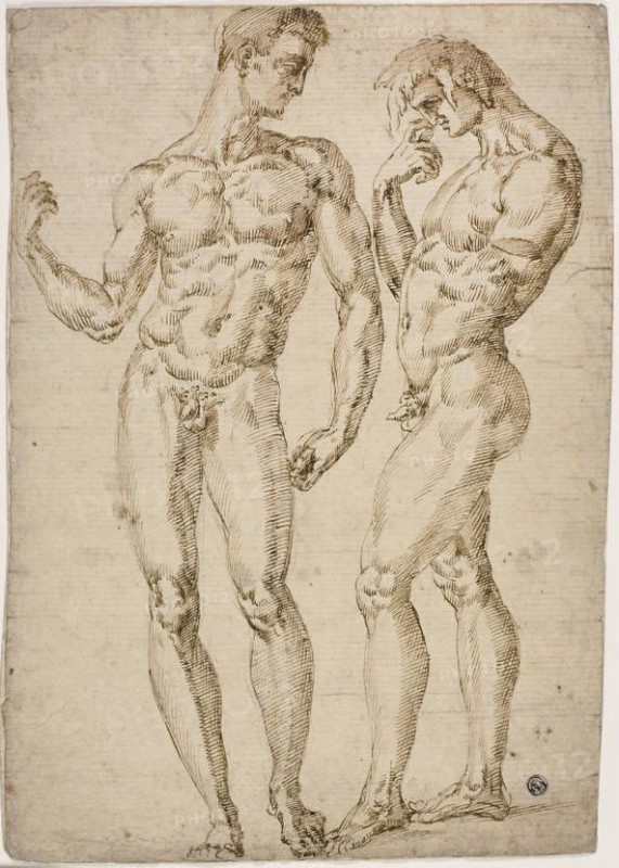 Two Standing Male Nudes, 1548/50, School of Baccio Bandinelli, Italian, 1493-1560, Italy, Pen and brown ink, over black chalk, on ivory laid paper, laid down on ivory laid paper, 409 × 287 mm