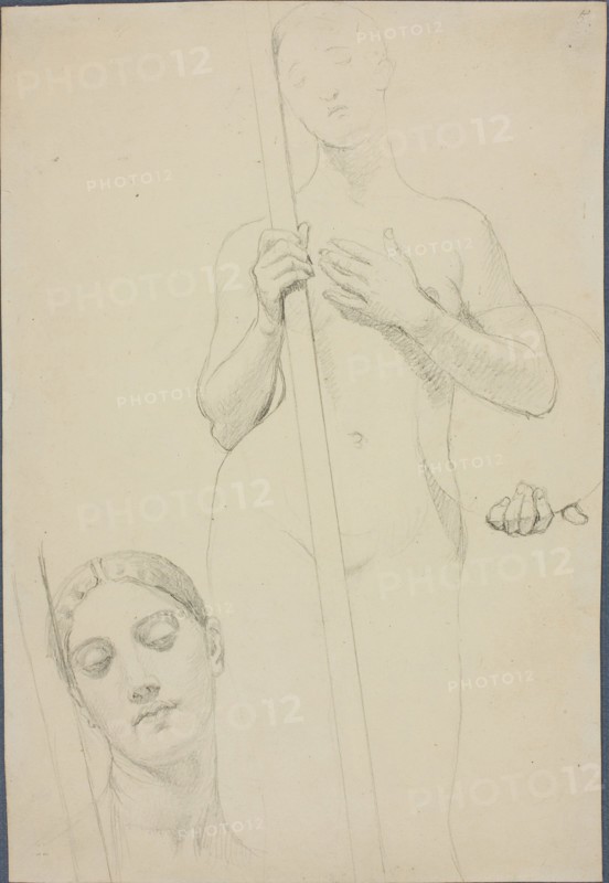 Study, c. 1842, Jean–Auguste–Dominique Ingres, French, 1780–1867, France, Graphite on cream wove paper, laid down on white wove paper, hinged on gray laid paper with blue fibers, 270 × 185 mm