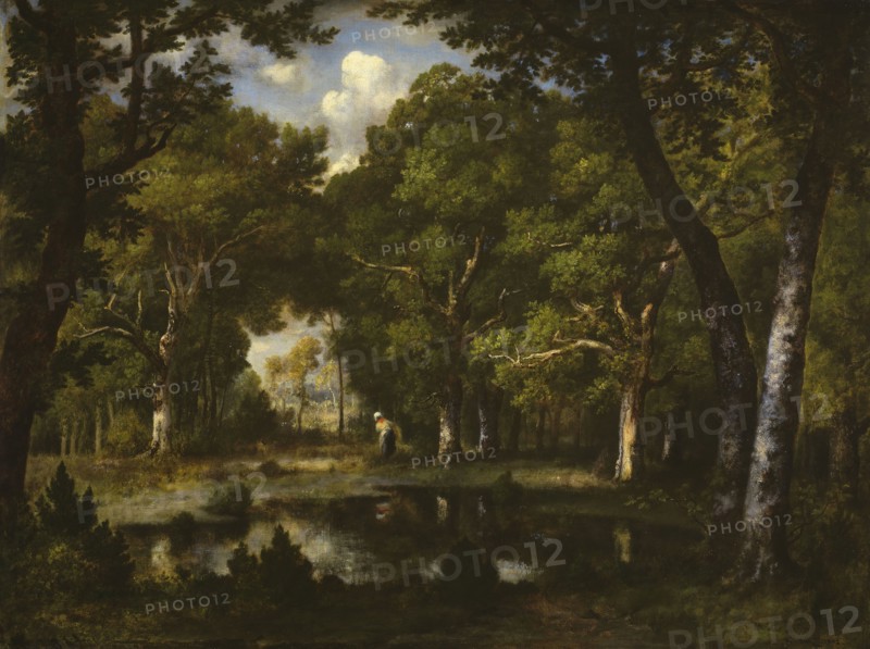 Pond in the Woods, 1862, Narcisse Virgile Diaz de la Peña, French, 1807-1876, France, Oil on canvas, 68 × 89.8 cm (26 3/4 × 35 3/8 in.)