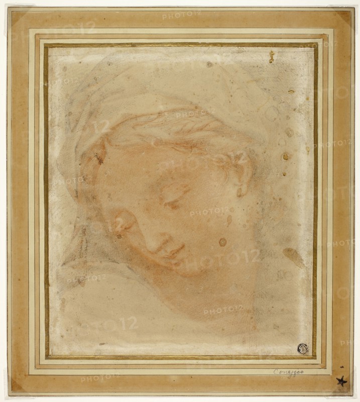 Woman’s Head, n.d., Attributed to Giovanni Battista Vanni (Italian, 1599-1660), after Antonio Allegri, called Correggio (Italian, c. 1494-1534), Italy, Red chalk with black chalk, on cream laid paper, laid down on ivory laid paper, 274 x 236 mm