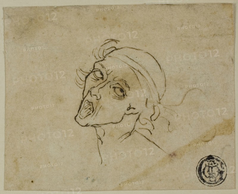 Male Head, n.d., Possibly after Michelangelo Buonarroti, Italian, 1475-1564, Italy, Pen and black and brown ink, on cream laid paper, hinged on to cream wove paper, 62 x 76 mm