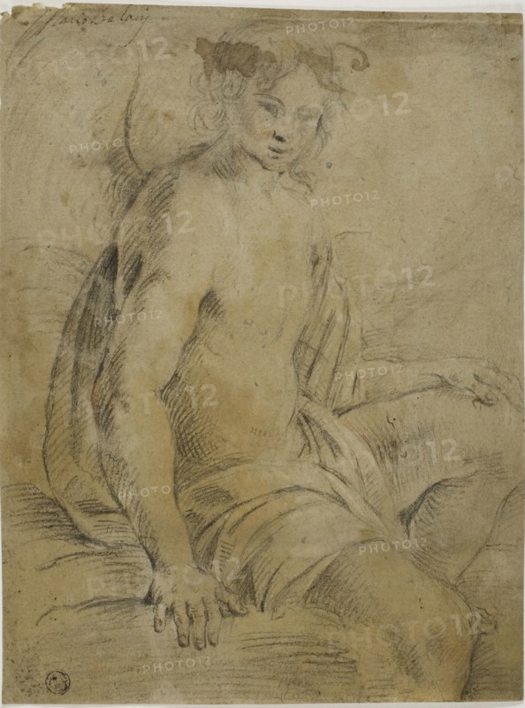 Seated Angel, n.d., Attributed to Mario Balassi (Italian, 1604-1667), or Lorenzo del Pasinelli (Italian, 1629-1700), Italy, Black chalk, heightened with touches of white and red chalk, on blue gray laid paper, 273 x 205 mm