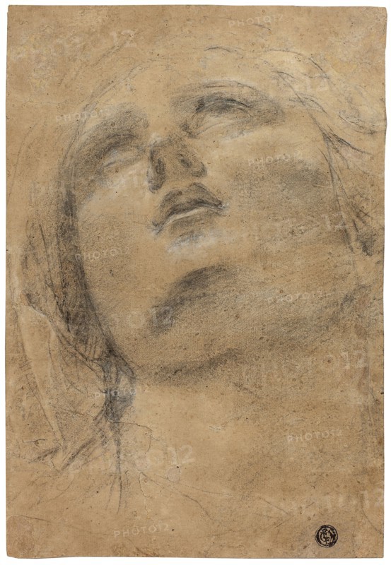 Head of the Virgin Looking Upwards, c. 1615, Jacopo Cavedone, Italian, 1577-1660, Italy, Black chalk, heightened with white chalk, on brown laid paper, 255 x 173 mm