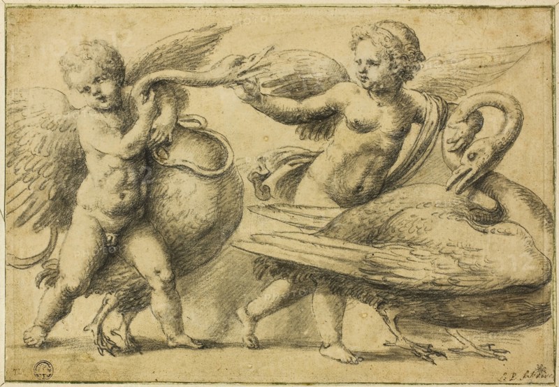 Putti Playing with Swans, n.d., Circle of Raffaello Sanzio, called Raphael, Italian, 1483-1520, Italy, Black chalk with brush and gray wash, on tan laid paper, laid down on ivory laid paper, 198 x 288 mm
