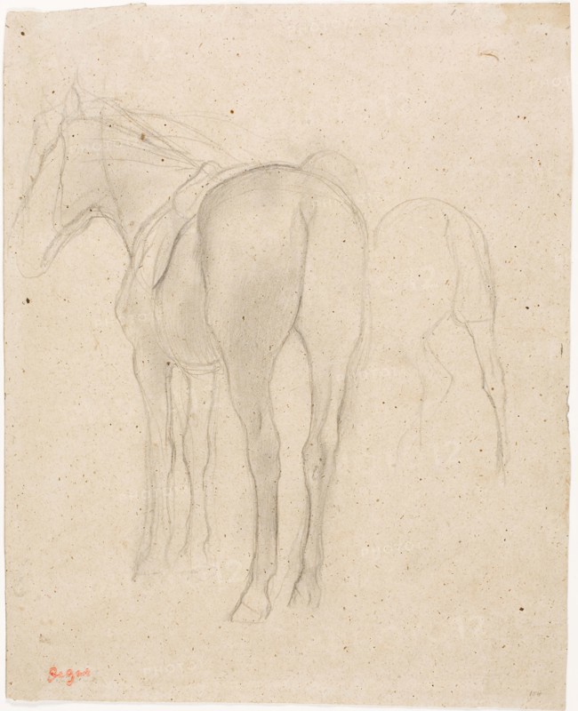 Studies of a Horse, 1868/75, Edgar Degas, French, 1834-1917, France, Graphite with stumping on tan wove paper, 305 × 246 mm