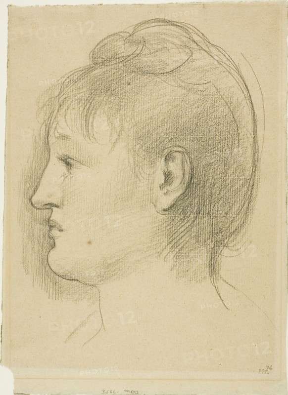 Head of a Woman, c. 1890, Pierre Puvis de Chavannes, French, 1824-1898, France, Black chalk on tan laid paper, 271 × 193 mm