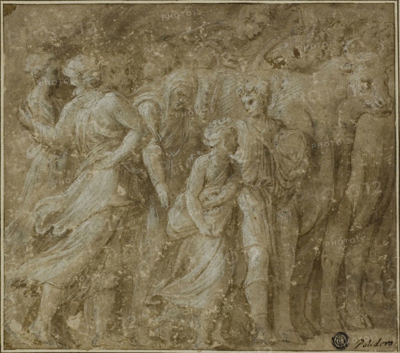 Procession of Figures and Oxen, n.d., Biagio Pupini, called dalle Lame, Italian, active 1511-d. 1551, Italy, Pen and brown ink with brush and brown wash, heightened with lead white (partially oxidized), on cream laid paper, laid down on ivory laid paper, 199 x 226 mm