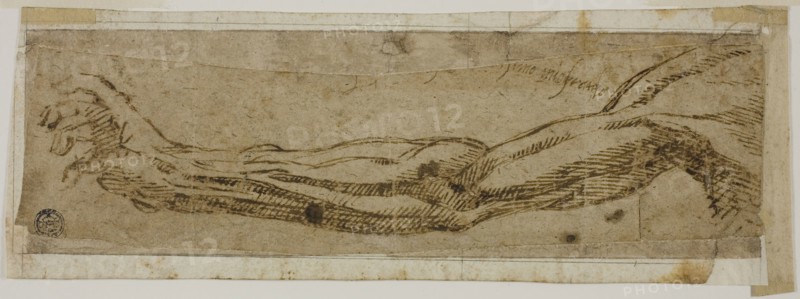 Academic Arm, Extended, 1500/10, Circle of Michelangelo Buonarroti, Italian, 1475-1564, Italy, Pen and brown ink on tan laid paper, laid down on ivory laid paper, 65 x 254 mm