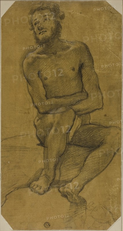 Seated Male Nude, 1600/40, Follower of Jacopo Chimenti, called Jacopo da Empoli, Italian, 1551-1640, Italy, Black chalk heightened with traces of white chalk, on cream laid paper prepared with ochre wash, laid down on cream wove paper, 368 x 194 mm