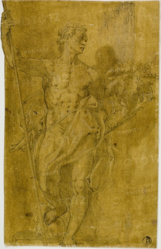 Study for Male Allegorical Figure, n.d., After Taddeo Zuccaro, Italian, 1529-1566, Italy, Pen and brown ink with brush and brown wash, heightened with lead white (partly oxidized), on cream laid paper prepared with light-brown wash, 267 x 171 mm (max.)