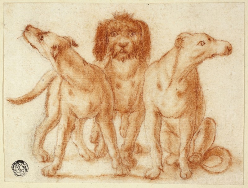Three Dogs, n.d., Unknown Artist, Dutch, 18th century, Italy, Red chalk with stumping over graphite on ivory laid paper, tipped onto cream wove paper, 112 x 148 mm