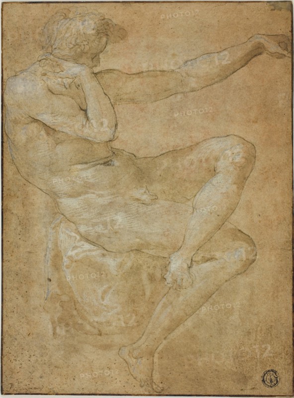 Seated Male Nude with Outstretched Left Arm, n.d., Unknown Artist (Italian, late 16th century), or possibly after Domenico Beccafumi, called Il Mecarino (Italian, 1484-1551), or possibly Imitator of Francesco Salviati (Italian, 1503-1540), or possibly Pellegrino Tibaldi (Italian, 1527-1596), or Style of Francesco Primaticcio (Italian, 1504-1479), Italy, Pen and brown ink with brush and brown wash, heightened with lead white (partly oxidized), with additions of black chalk, on tan laid paper, laid down on oatmeal wove paper, 232 x 165 mm (max.)