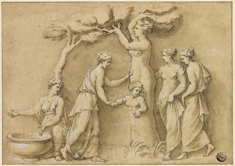 Birth of Adonis, n.d., Possibly after Giulio Romano, Italian, 1499-1546, Italy, Pen and brown ink with brush and brown wash, heightened with lead white, over traces of black chalk, on tan laid paper, laid down on cream laid paper, 170 x 241 mm