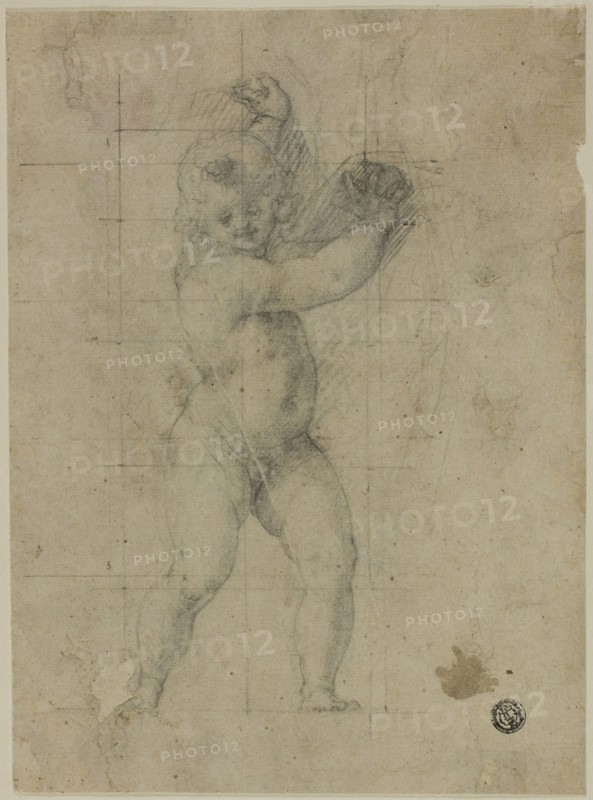 Putto with Raised Arms, 1580/90, Cristofano Roncalli, called Il Pomarancio, Italian, 1552-1626, Italy, Black chalk on ivory laid paper, squared in black chalk, laid down on cream laid paper, 235 x 173 mm