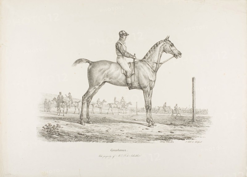 Constance, the Property of Mr. J.G. Schickler, c. 1820, Carle Vernet (French, 1758-1836), printed by Francois Seraphin Delpech (French, 1778-1825), France, Lithograph in black on ivory wove paper, 264 × 417 mm (image), 422 × 586 mm (sheet)