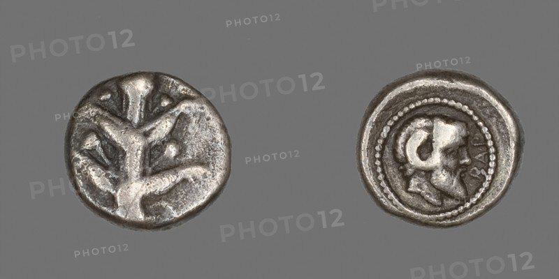 Coin Depicting Silphium Plant, 480/435 BC, Greek, Barce, Silver, Diam. 1.4 cm, 3.19 g