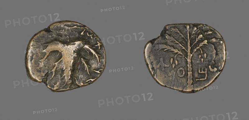 Coin Depicting a Palm Tree, AD 132/135, Judaean, Israel, Bronze, Diam. 2.7 cm, 11.18 g