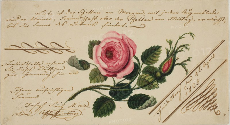 Untitled Valentine (Pink Flower), 1825, Unknown Artist, German, 19th century, Germany, Watercolor and pen and brown ink on buff wove paper, 78 x 142 mm (folded sheet)
