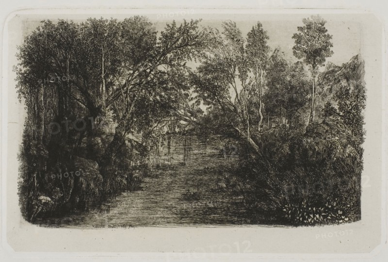 The Creek, 1880, Rodolphe Bresdin, French, 1825-1885, France, Etching and roulette on light gray China paper laid down on white wove paper, 130 × 205 mm (chine), 134 × 209 mm (plate), 318 × 449 mm (sheet)