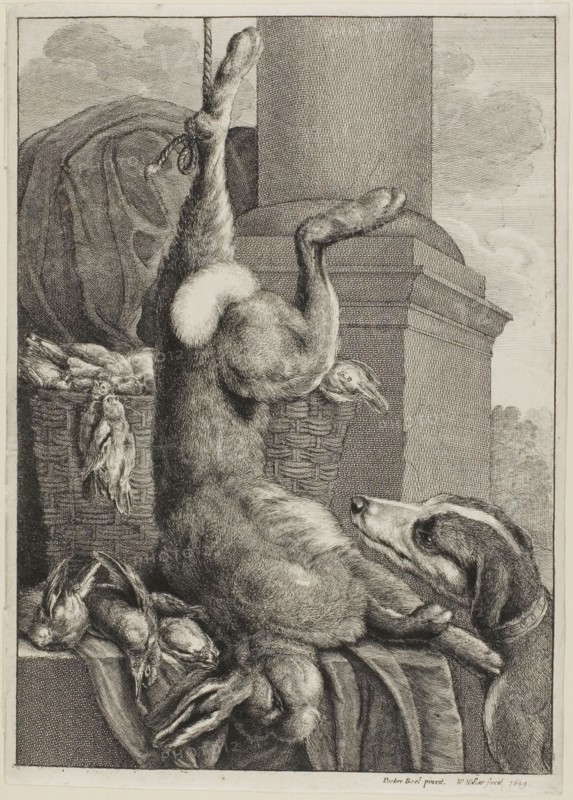 Dead Hare, 1649, Wenceslaus Hollar (Czech, 1607-1677), after Pieter Boel (Flemish, 1622-1674), Bohemia, Etching in black on ivory laid paper, 269 × 191 mm (sheet, trimmed within platemark)