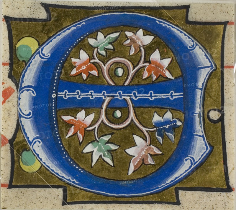 Decorated Initial E with Flowers from a Choir Book, 14th century or modern, c. 1920, European, Europe, Manuscript cutting in tempera and gold leaf on vellum, 63 × 71 mm