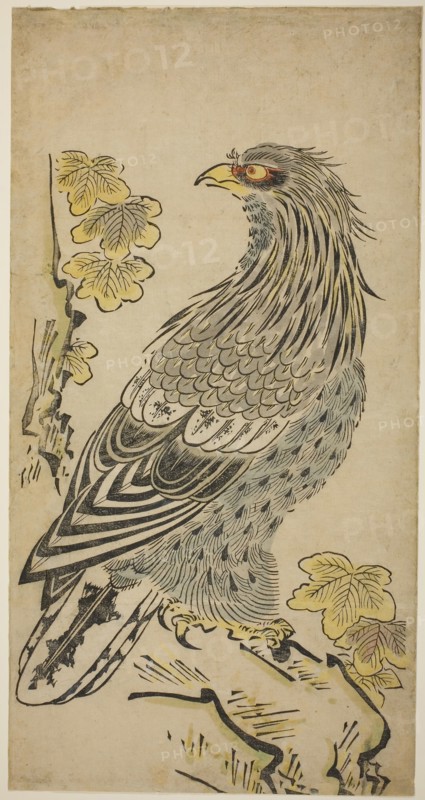 A Hawk on a Cliff near a Kiri Tree, c. 1716, Attributed to Torii Kiyomasu I, Japanese, active c. 1704–18 (?), Japan, Hand-colored woodblock print, o-oban, tan-e, 55.8 x 28.8 cm (22 x 11 1/4 in.)