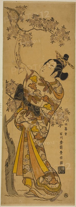 Young Woman Reading Tanzaku Tied to a Cherry Tree, c. 1741, Ishikawa Toyonobu, Japanese, 1711-1785, Japan, Hand-colored woodblock print, kakemono-e, urushi-e, 50.7 x 18.1 cm (19 7/8 x 7 in.)
