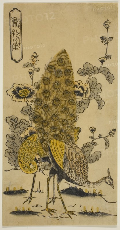 Hollyhocks and Peacocks (Aoi ni kujaku), early 1730s, Nishimura Shigenobu, Japanese, active c. 1723-1747, Japan, Hand-colored woodblock print, hosoban, urushi-e, 11 1/8 x 5 5/8 in.