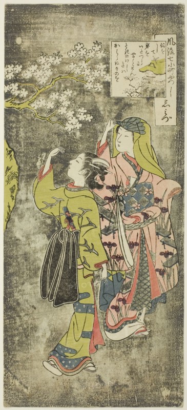Ono no Komachi by the Waterfall (Shimizu), from the series The Seven Fashionable Aspects of Komachi (Furyu yatsushi nana Komachi), Edo period (1615–1868), 1751/64, Suzuki Harunobu ?? ??, Japanese, 1725 (?)-1770, Japan, Color woodblock print, hosoban, 12 3/8 x 5 1/2 in.