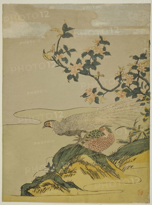 Pheasants under Branch of Peach Blossoms, c. 1764/75, Attributed to Isoda Koryusai, Japanese, 1735-1790, Japan, Color woodblock print, chuban, 11 1/4 x 8 1/4 in.
