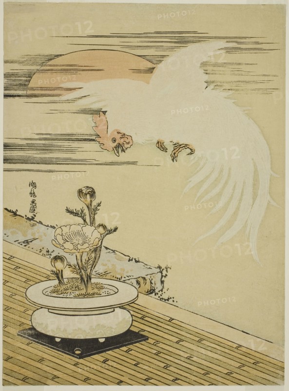 Cock Flying Over Pot of Adonis, c. 1770s, Isoda Koryusai, Japanese, 1735-1790, Japan, Color woodblock print, chuban, 25.1 x 18.6 cm (9 7/8 x 7 1/4 in.)