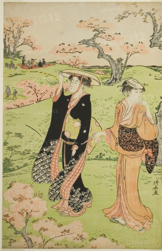 Cherry Blossom Viewing at Asuka Hill, c. 1787, Torii Kiyonaga, Japanese, 1752-1815, Japan, Color woodblock print, center sheet of oban triptych, 38.1 x 24.5 cm