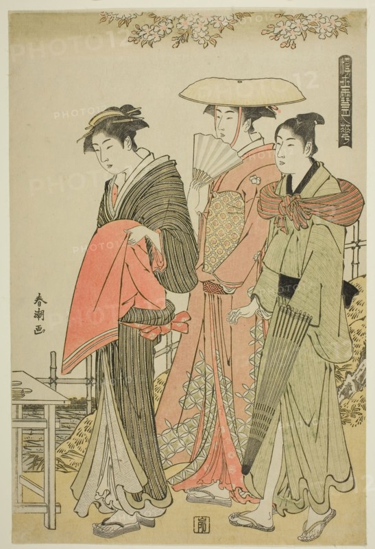 Flowers, from the series Snow, Moon, and Flowers of the Floating World (Ukiyo setsugekka), c. 1784/85, Katsukawa Shuncho, Japanese, active c. 1780-1801, Japan, Color woodblock print, oban, 38.2 x 25.5 cm (15 x 10 in.)