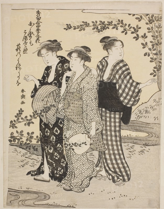 Bush Clovers in Summer, from the series Choicest Odes Upon Flowers of the Four Seasons (Shuku awase, shiki no hana), c. 1792, Katsukawa Shuncho, Japanese, active c. 1781-1801, Japan, Color woodblock print, chuban, 26 x 20.3 cm (10 1/4 x 8 in.)