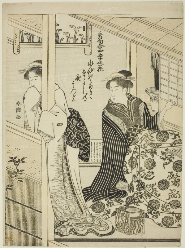 Narcissus in Winter, from the series Choicest Odes upon Flowers of the Four Seasons (Shuku awase, shiki no hana), c. 1792, Katsukawa Shuncho, Japanese, active c. 1780-1801, Japan, Color woodblock print, chuban, 26.2 x 19.5 cm (10 5/16 x 7 11/16 in.)