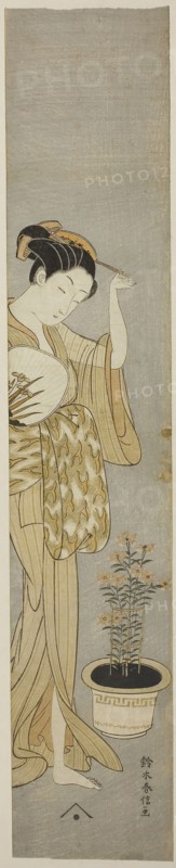 Beauty Adjusting her Hairpin, c. 1768/69, Suzuki Harunobu ?? ??, Japanese, 1725 (?)-1770, Japan, Color woodblock print, hashira-e, 62.2 x 12.1 cm (24 5/8 x 4 3/4 in.)