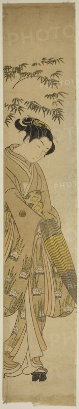 Young Woman Walking in Snow, c. 1767/68, Suzuki Harunobu ?? ??, Japanese, 1725 (?)-1770, Japan, Color woodblock print, hashira-e, 26 1/2 x 4 7/8 in., Untitled (Daisy), 1849/60, English, England, Albumen print, from the "Untitled Album