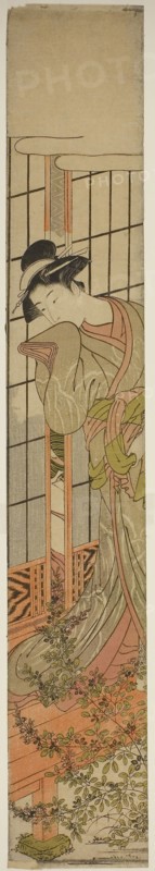 Eavesdropping, c. 1780, Isoda Koryusai, Japanese, 1735-1790, Japan, Color woodblock print, hashira-e, 27 1/8 x 4 3/8 in.
