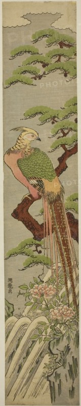 Golden Pheasant on a Pine Tree above Peonies and Waterfall, c. 1780, Isoda Koryusai, Japanese, 1735-1790, Japan, Color woodblock print, hashira-e, 26 1/4 x 4 7/8 in.