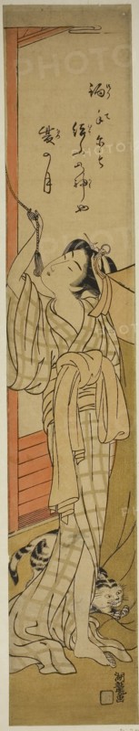 Young Woman Hanging a Mosquito Net as Cat Plays at Her Feet, c. 1774, Isoda Koryusai, Japanese, 1735-1790, Japan, Color woodblock print, hashira-e, 27 3/8 x 4 7/8 in.