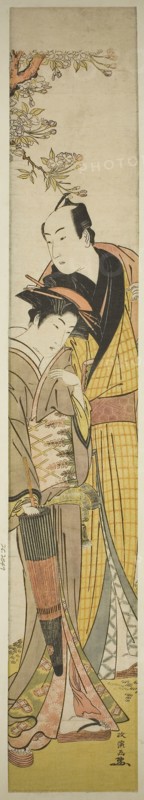 Young Couple under Cherry Tree, c. 1781/89, Kitao Masanobu (Santo Kyoden), Japanese, 1761–1816, Japan, Color woodblock print, hashira-e